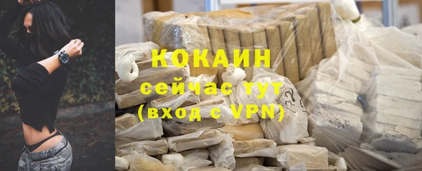 спиды Лагань