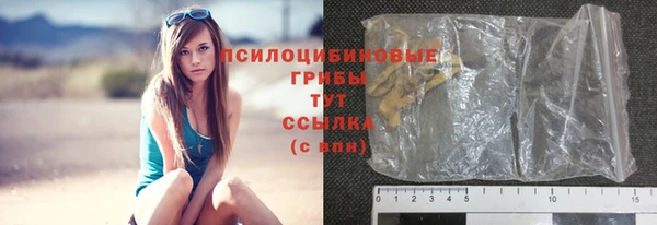 спайс Арсеньев