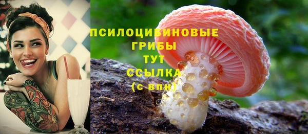 гашишное масло Ладушкин