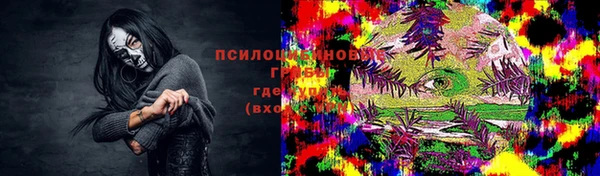 спайс Арсеньев