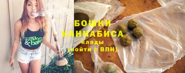 сатива Лабытнанги