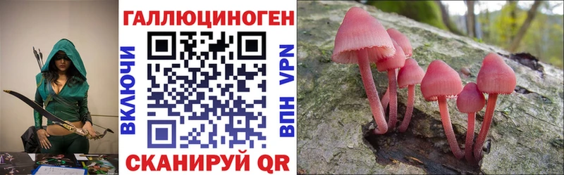 Псилоцибиновые грибы MAGIC MUSHROOMS  купить наркоту  Бирюсинск 